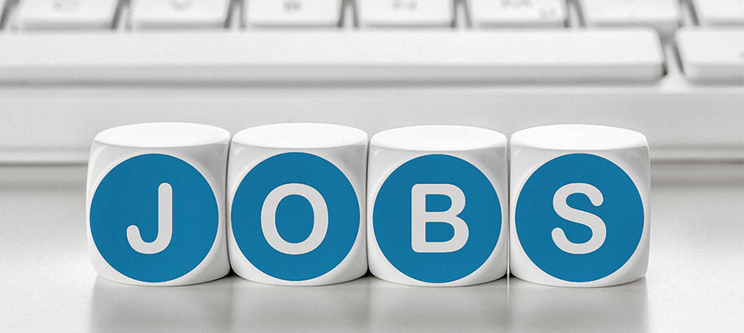 Job Angebote